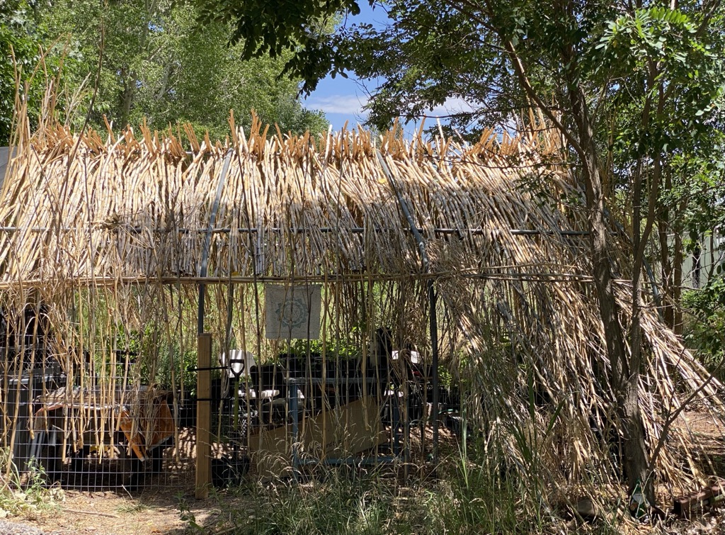 Thatching Workshop